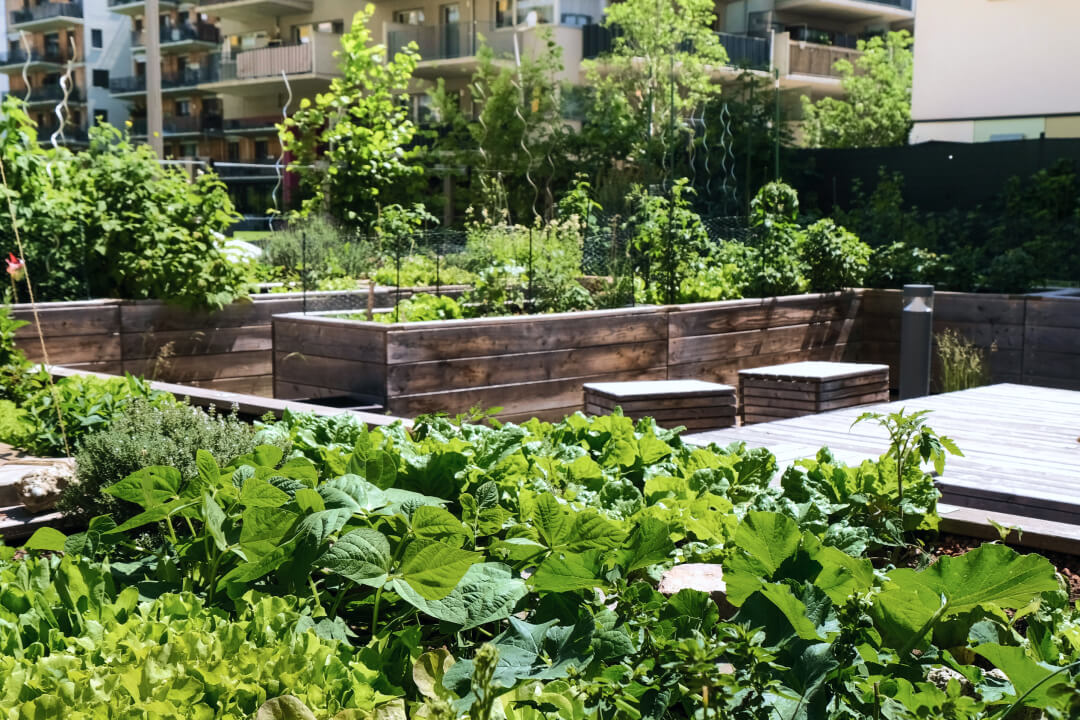 Urban Farms